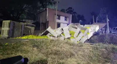 Se desprendió un acoplado cargado de limones en Alderetes y cayó a una acequia