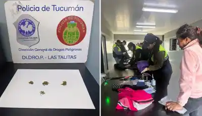 En plena requisa, un perro antinarcóticos marcó a una madre que visitaba a su hijo