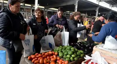 Crisis en el Mercado Frutihortícola: los productores ya no saben cómo sobrevivir
