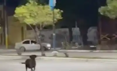 Conductor realiza peligrosas maniobras en plena avenida de Simoca y un vecino lo registró en video