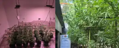 Allanaron dos casas y el hallazgo en el interior dejó helados a los investigadores