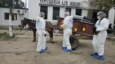 Discusión por sándwiches de milanesa terminó en tragedia dentro de un colectivo