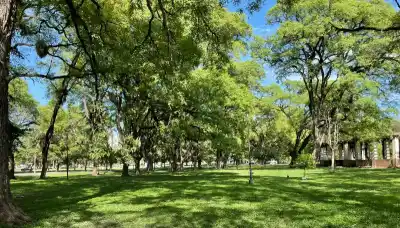 Un domingo de calor agobiante y lluvias aliviadoras en Tucumán