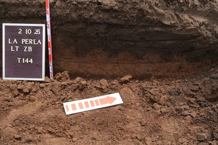 Uno de los puntos clave de la excavación. Foto: Equipo de Antropología Forense
