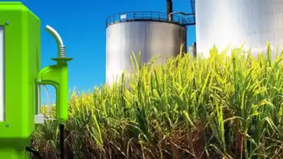 El proyecto de Ley de Biocombustibles que enfrenta al Norte con el centro del país