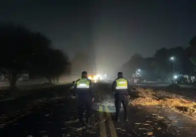 La rotura de un enganche dejó la carga esparcida en plena ruta y el conductor logró lo imposible