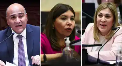 Los tres senadores tucumanos votaron por Michelli y le dieron la espalda a Milei