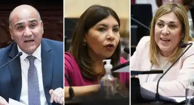 El pliego que el Gobierno quiso frenar y terminó aprobado: los senadores tucumanos que votaron en contra de la Casa Rosada
