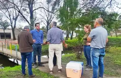 Detectaron peces boqueando en un arroyo y el origen los dejó helados