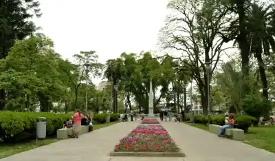 Multas de hasta $9,5 millones: el nuevo Código Ambiental que pone en alerta a infractores en la capital