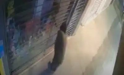 Rompió una vidriera en pleno microcentro y se llevó todo lo que encontró en segundos