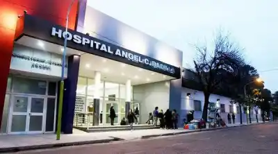 Mayo histórico para la donación de órganos en Argentina: el detalle que pocos conocen
