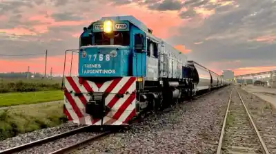 Ni un solo operador ni un paquete cerrado: cómo será la privatización del Belgrano Cargas que prepara el Gobierno