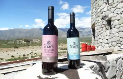 La bodega comunitaria de Tucumán que desafía la altura y conquista paladares