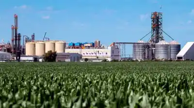 “Es como tener a Messi en el banco de suplentes”: el crudo diagnóstico de la industria de biocombustibles que preocupa al campo
