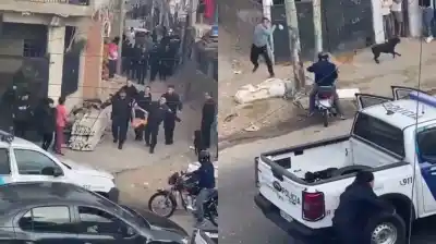 Le robó la cartera a una jubilada en Lomas de Zamora, pero lo que pasó después desató el caos policial