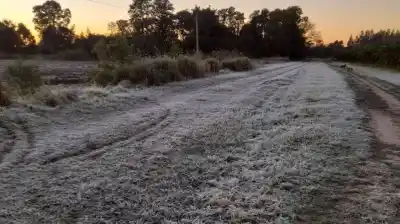 Alerta en el campo: un frente polar amenaza con heladas letales en plena siembra