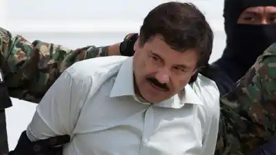El Chapo ya no quiere fugarse: la desesperada estrategia literaria del narco más temido del mundo