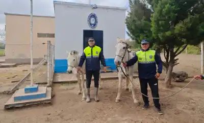 Robaron dos caballos en Guardamonte y los encontraron atados a orillas del Río Salí