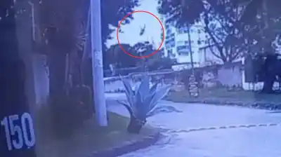 Una cámara captó el preciso instante en que un helicóptero se desplomó sobre autos eléctricos en Río de Janeiro