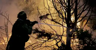 Incendios En Chubut: La Foto Que Prueba Que El Fuego Fue Intencional Y El Testimonio De Un Testigo Que Vio “a Tres Personas”