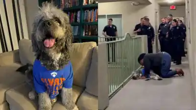 Festejaba el triunfo de los Knicks, pero la policía irrumpió y mató a su perro: el desgarrador video
