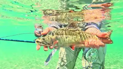 La temporada de pesca en Chubut arranca con expectativas y una experiencia única en el lago La Plata