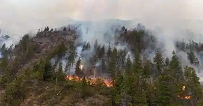 Vivir En El Fuego: El Dolor De Los Evacuados, Brigadistas Que Lo Arriesgan Todo Y Empresarios Turísticos Que Pierden Otra Temporada