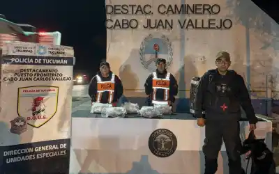El can detector Alex marcó el cargamento: detienen a una mujer que esperaba más de cinco kilos de marihuana