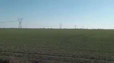 El campo que vuelve a brillar: el mercado rural pegó un salto y ya nadie se lo quiere perder
