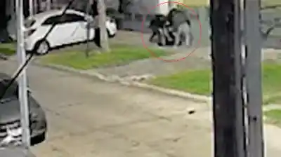 Violento asalto en Villa Luzuriaga: la golpearon y le robaron el auto en 20 segundos