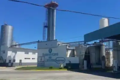 El drama de 82 familias: la audiencia que puede salvar o enterrar a una láctea santafesina
