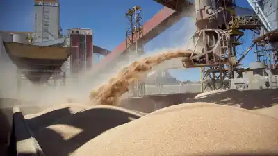 El campo argentino explota: las exportaciones crecieron 17% y ya superan los US$21.000 millones