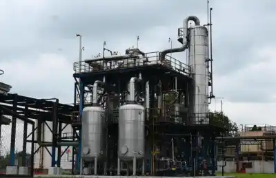 Récord histórico en la producción sucroalcoholera: Tucumán lideró la campaña más alta del sector
