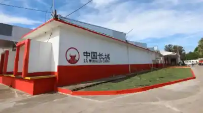 Soñaban con exportar a China, pero el frigorífico gigante de Corrientes termina rematado por 5 millones de dólares