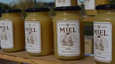 Miel en auge: por qué los apicultores bonaerenses crecieron un 60% en seis años