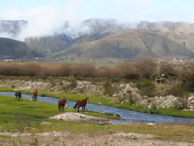 El frío extremo no da tregua: la localidad tucumana donde el termómetro cayó a -6,7 °C