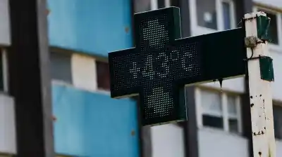 Cifras que asustan: el calor extremo podría matar a 700.000 personas por año en 2050