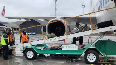 Fracasó la privatización de Intercargo: no se presentaron ofertas y el Gobierno se queda sin venderla
