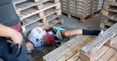 “Ya Está, Hermano, Me Rompiste La Panza”: La Súplica De Un Ladrón Baleado En Un Depósito De Huevos En Parque Avellaneda