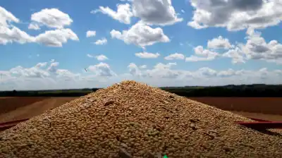 La soja se fortalece frente a las máquinas, pero el gasoil y los fletes le ponen el freno