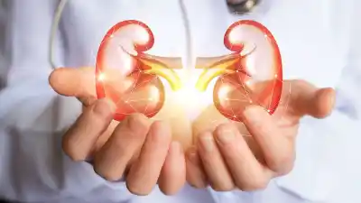 Coordinación perfecta: así se realizó el primer trasplante renal pediátrico entre dos hospitales porteños