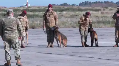 Argentina envió 150 brigadistas y perros entrenados a Venezuela tras el doble terremoto
