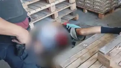 “Ya Está, Me Rompiste La Panza”: Un Ladrón Murió Tras Ser Baleado Por Un Expolicía Cuando Entró A Robar A Un Depósito De Huevos