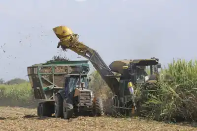 Sin lluvias, la zafra tucumana se dispara: producción récord de azúcar y bioetanol