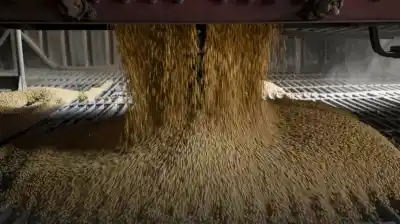 El USDA sacudió los mercados: soja y cereales pegaron un salto en Chicago