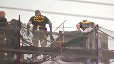 Un olor nauseabundo alertó a un encargado escolar: lo que hallaron en la chimenea heló a la policía