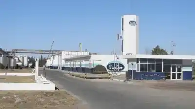 Diez gigantes se disputan los restos de SanCor: ¿quién se queda con el imperio lácteo?