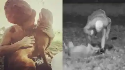 Se hacía el amante de los animales: las cámaras lo delataron golpeando a sus perros