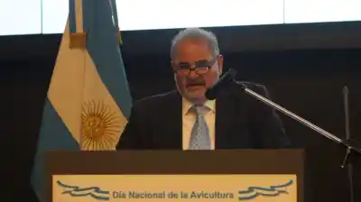 El futuro de la avicultura argentina depende de un mercado clave y el Gobierno ya tomó nota